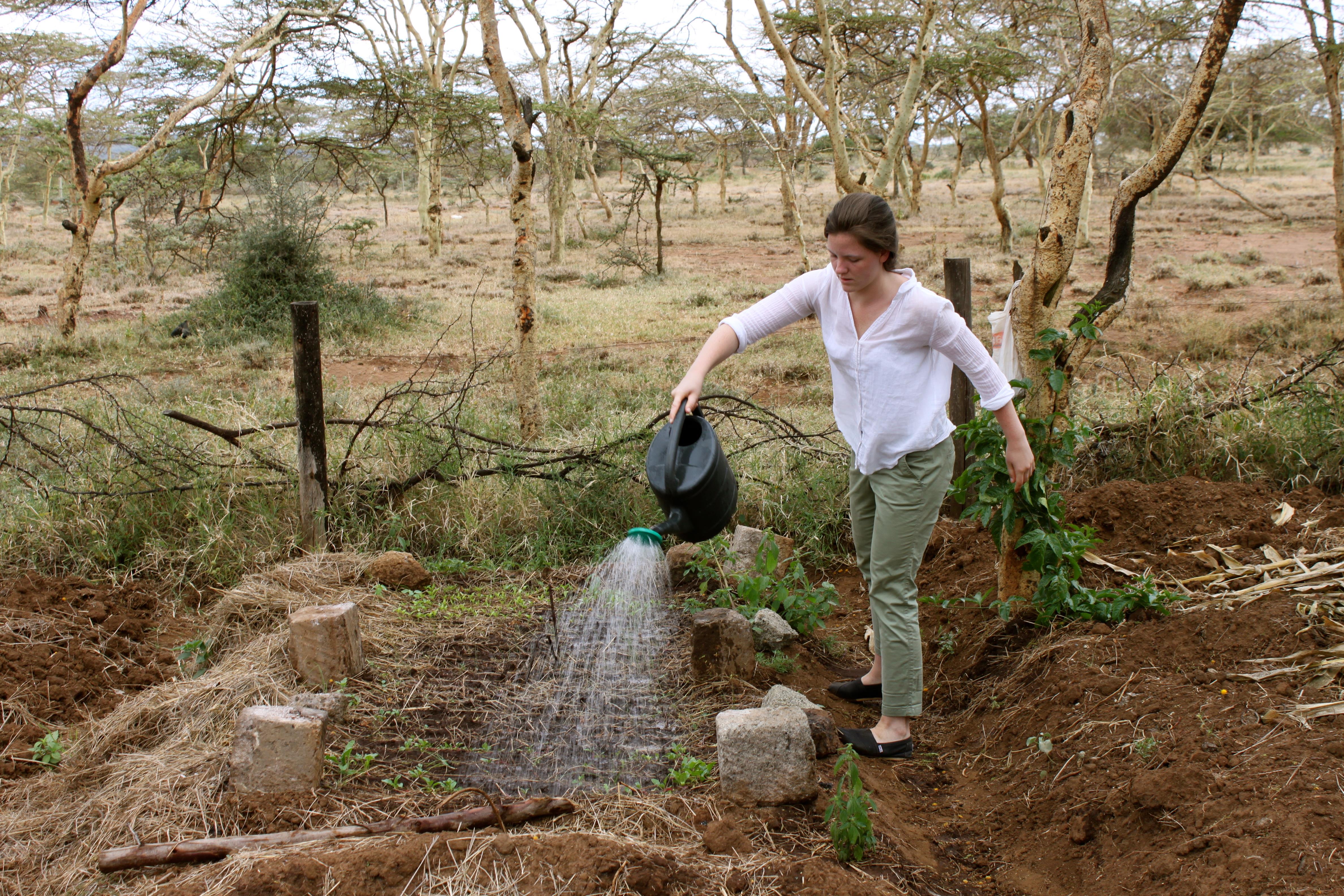 Climate Change: Its Effect on Global Health and Wellness