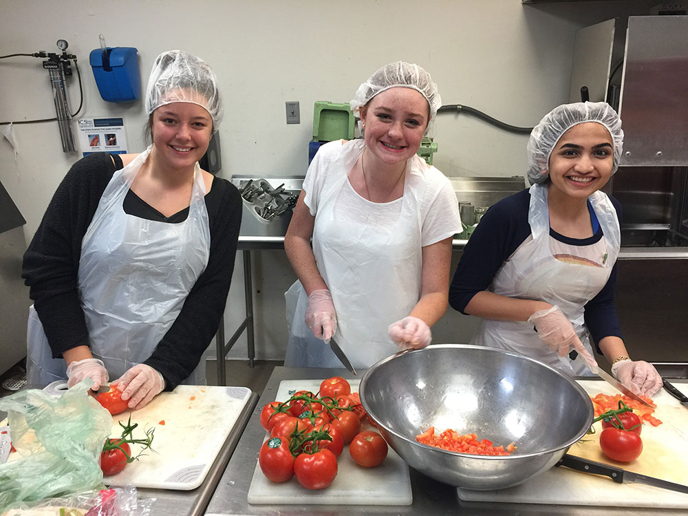 Greenheart Holiday Volunteer Photo Contest 2017